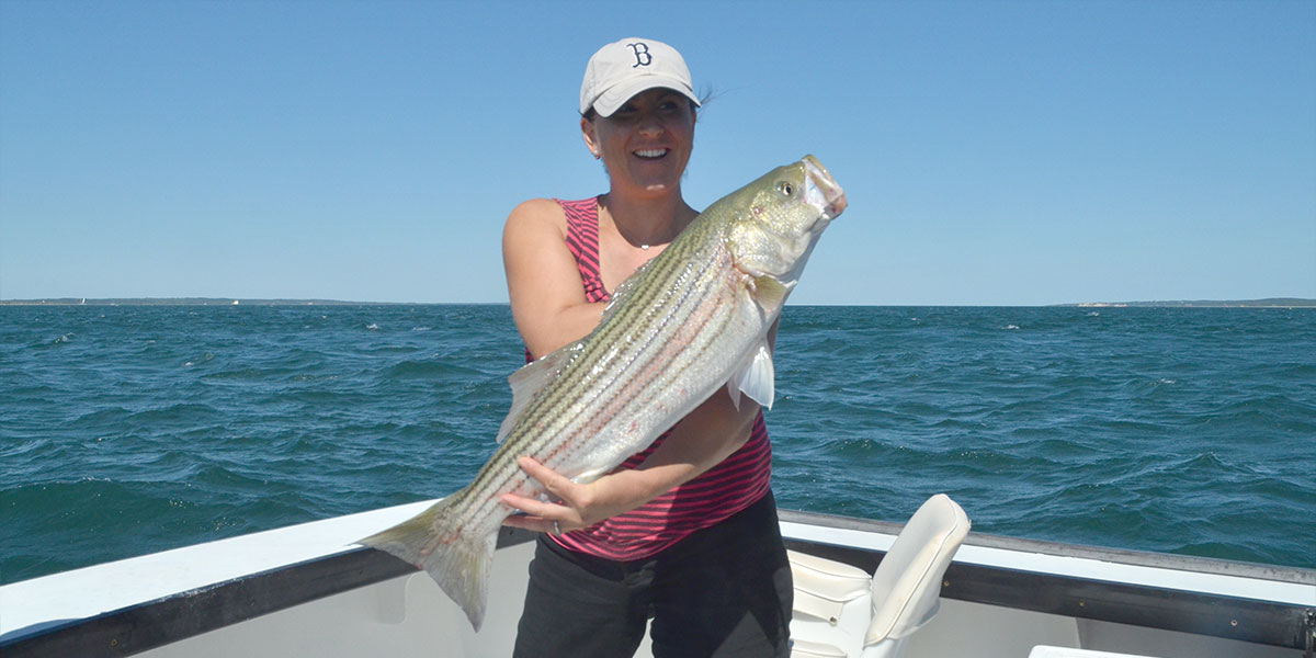 Menemsha charter fishing