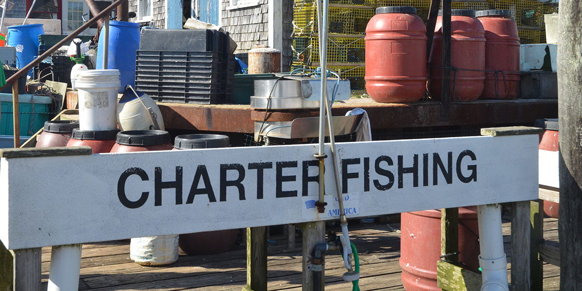 Martha's Vineyard Charter Fishing