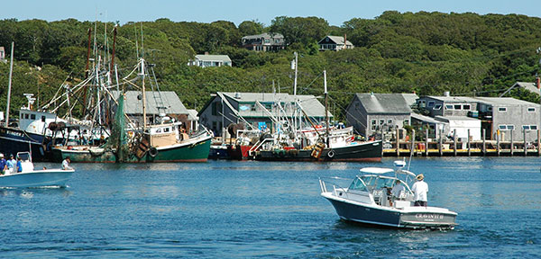 Rates Reservations Menemsha Harbor